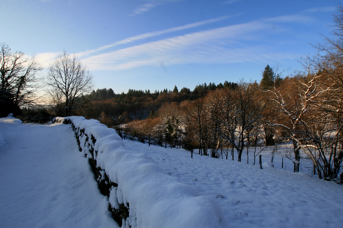 paysage d'hiver